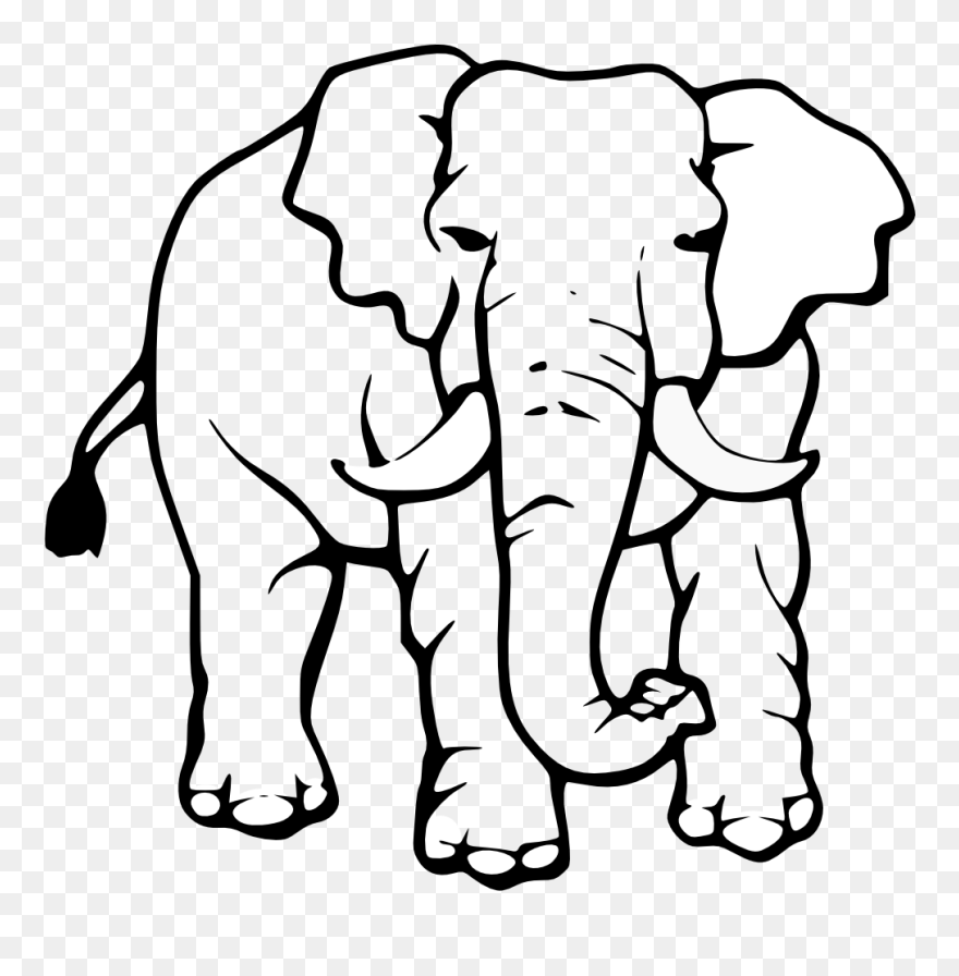 Elephant Clipart Black And White - Elefante Africano Para Colorear - Png Download