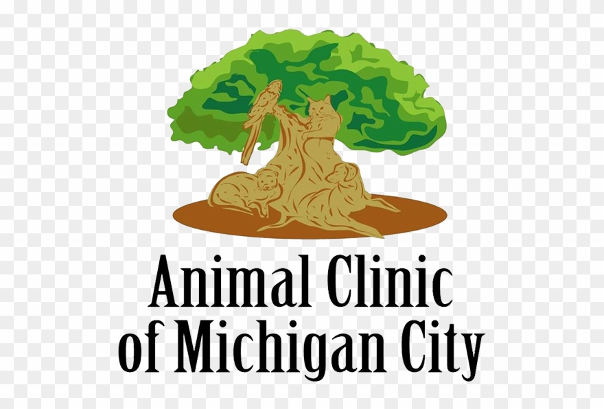 Schedule An Appointment Today - Animal Clinic Of Michigan City Clipart