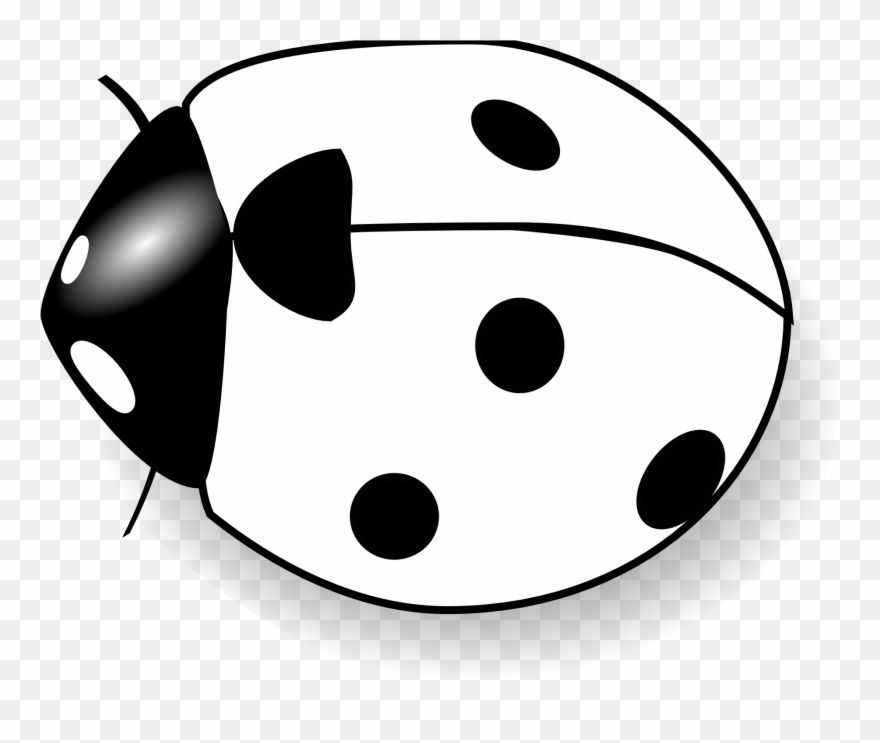 Flower Black And White Clip Art Background 1 Hd Wallpapers - Lady Bird Black And White - Png Download