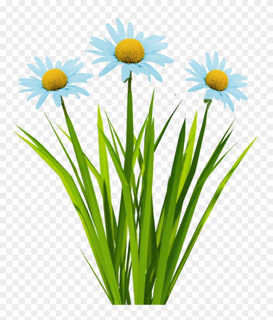 New Textures Billboard Grass - Grass Texture Unity 3d Clipart