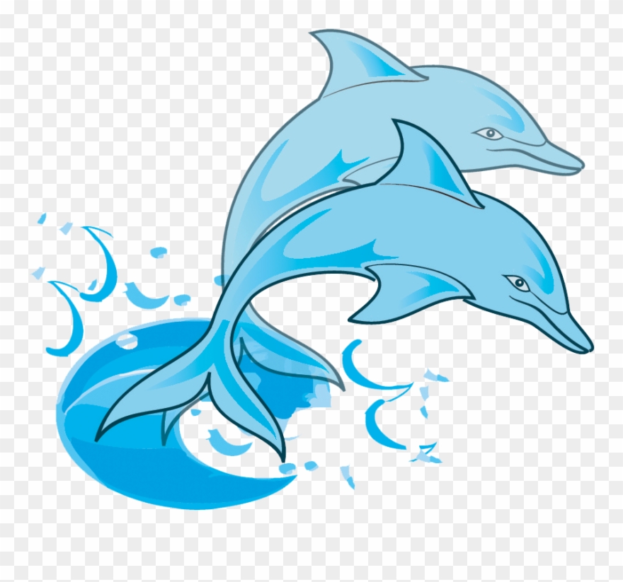 Dolphin Kids Coloring Book +fun Facts About Dolphins Clipart