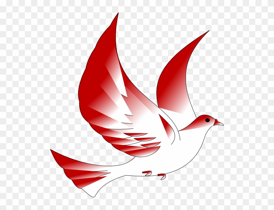 Dove Clipart - Dove Confirmation Png Transparent Png