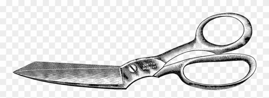 Advertisement Cliparts - Scissors - Png Download