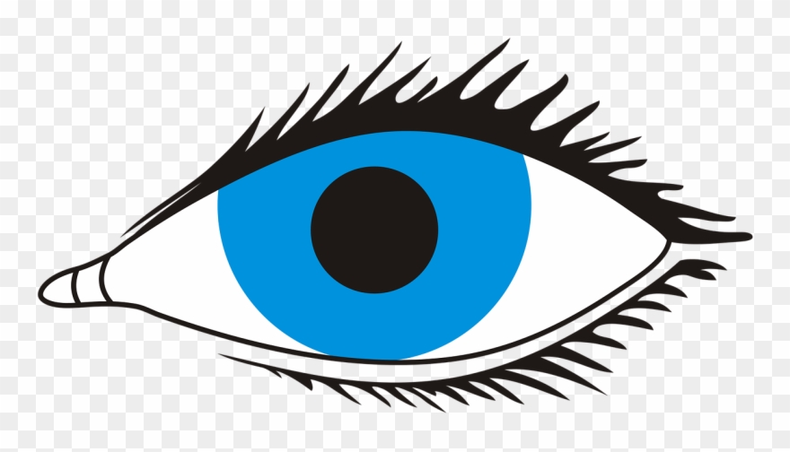 Eye Sight Look - Eye With No Background Clipart