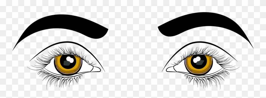 Human Eye Drawing Clip Art For Liturgical Year Cartoon - Clipart Picture Of Eyes - Png Download