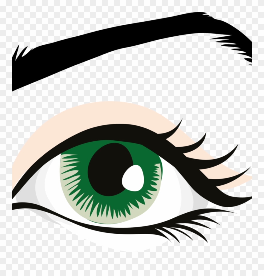 Human Eye Clip Art Human Eye Eyebrow Eyelid Organ Free - Eye With Eyebrow Clipart - Png Download