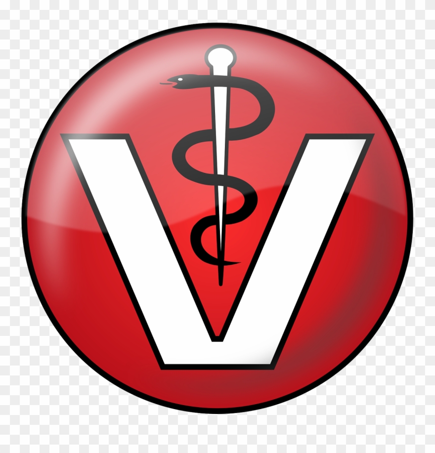 African American Woman Clipart - Veterinary Physician - Png Download