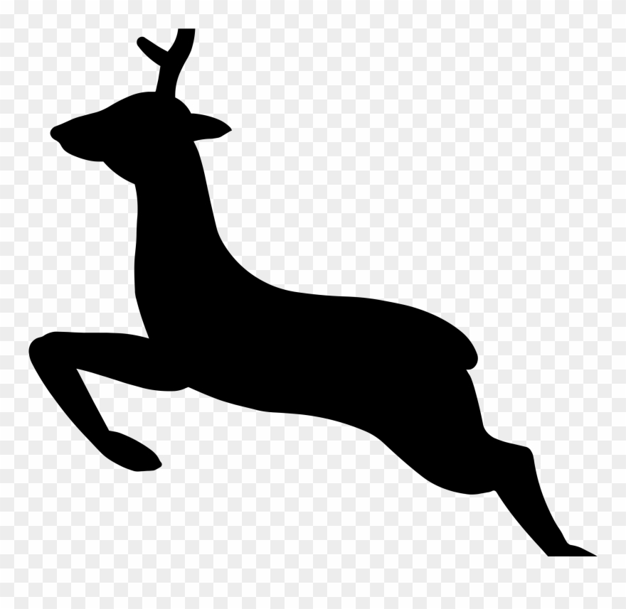 Dirt Road Drawing At Clip Art Royalty Free Library - Animals Contour - Png Download