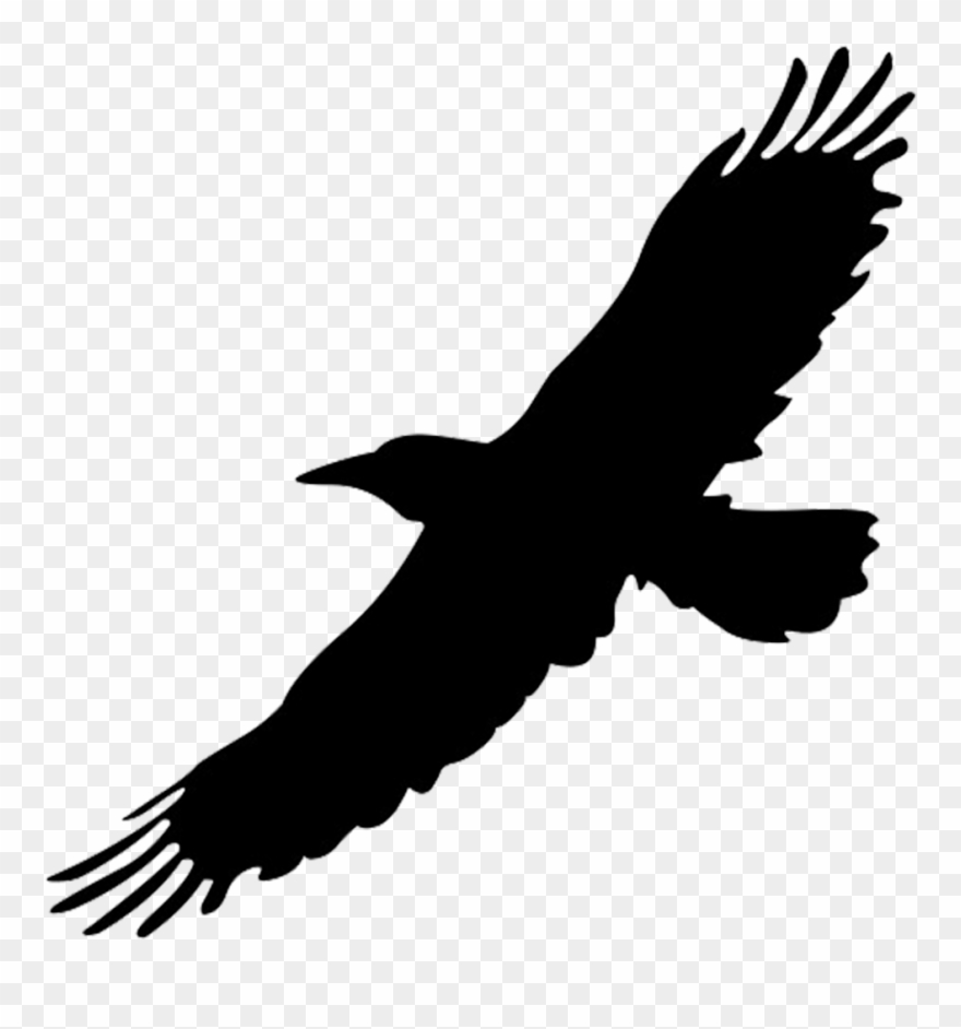 Raven - Flying - Black Flying Bird Png Clipart