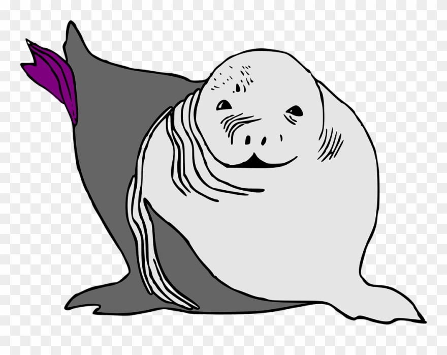 Sea Lion Clipart Animated - Cartoon Baby Sea Lion - Png Download