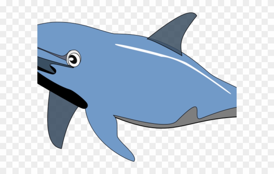 Dolphin Clip Art - Png Download