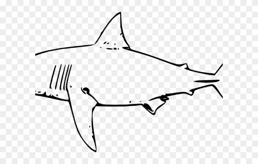 Bull Shark Clipart Cool - Shark Clip Art - Png Download
