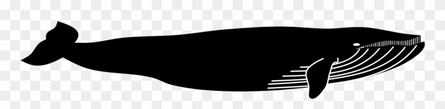 Blue Whale Clipart Sea Animal - Black Whale Shower Curtain - Png Download