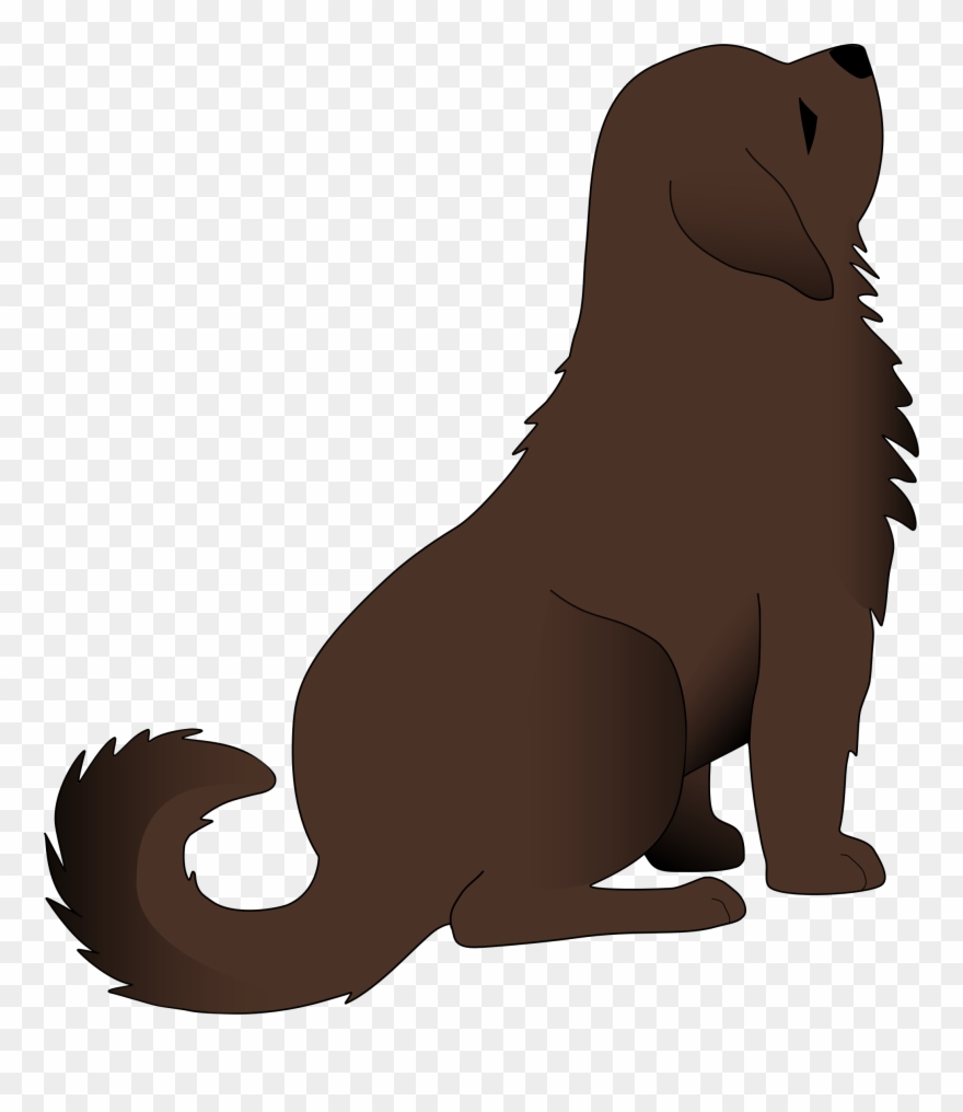 Sea Lion Clipart - Png Download