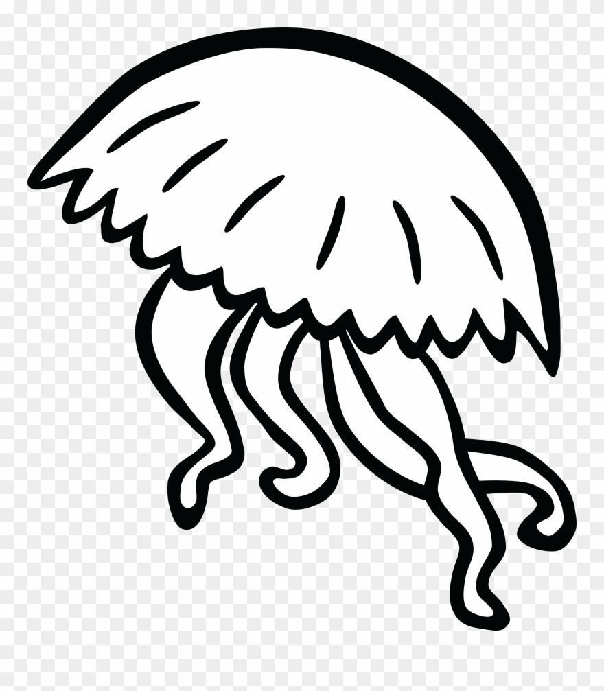 Jellyfish Black And White Clipart