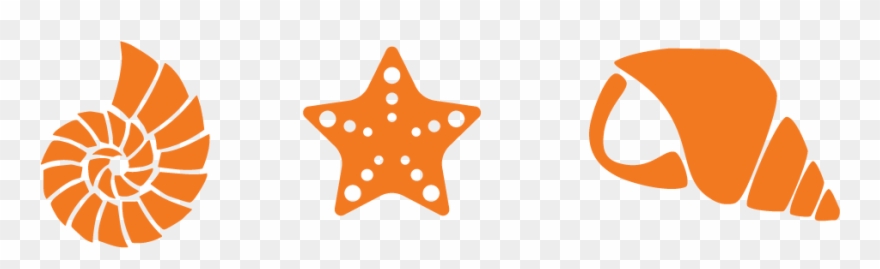 Sea Shells - >> - Sea Shell Bathroom Tile Sea Clipart