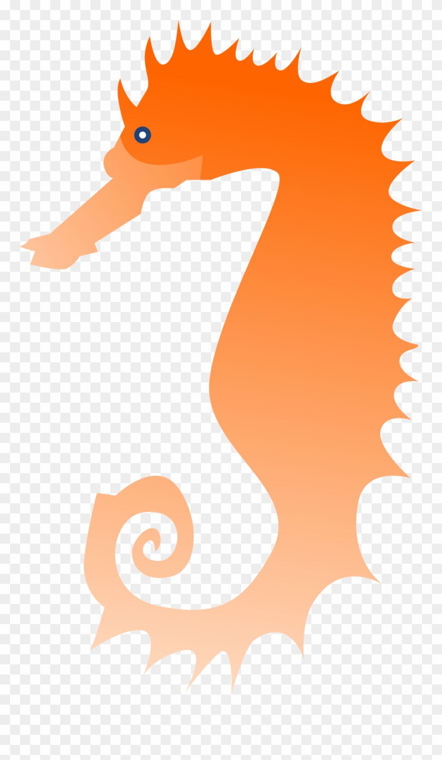 Seahorse Clipart