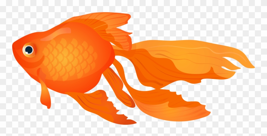 Clipart Of A Gold Fish - Png Download