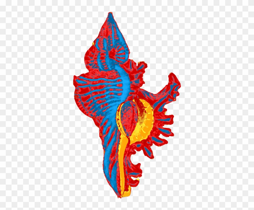 Seashell Computer Icons Beach Sea Snail Caracola - Clip Art - Png Download