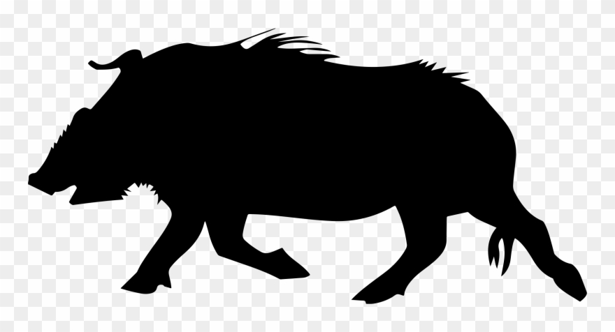 Clam Shell Silhouette Clipart - Wild Boar Clip Art - Png Download