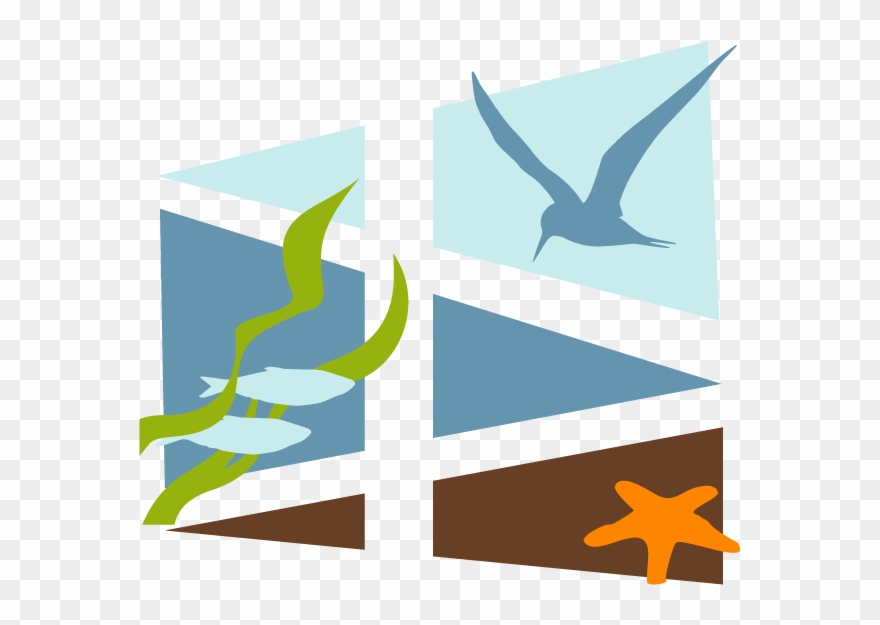 Northwest Straits - Sea Clipart