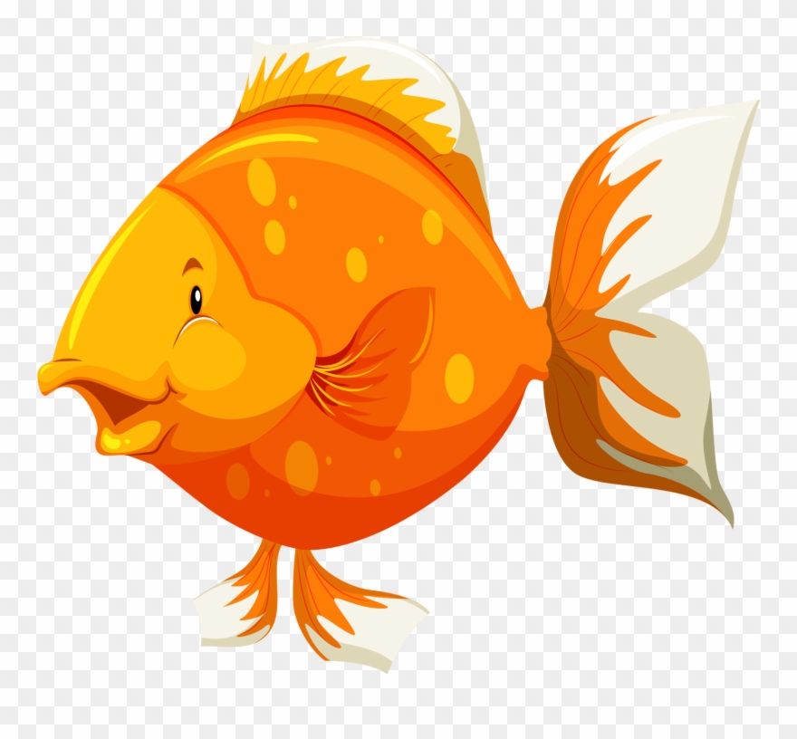 Tubes Poissons - Parts Of The Body Of Fish Clipart