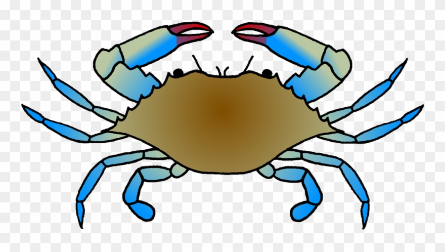 Clip Art Black And White Download Crab Transparent - Blue Crab Clip Art - Png Download