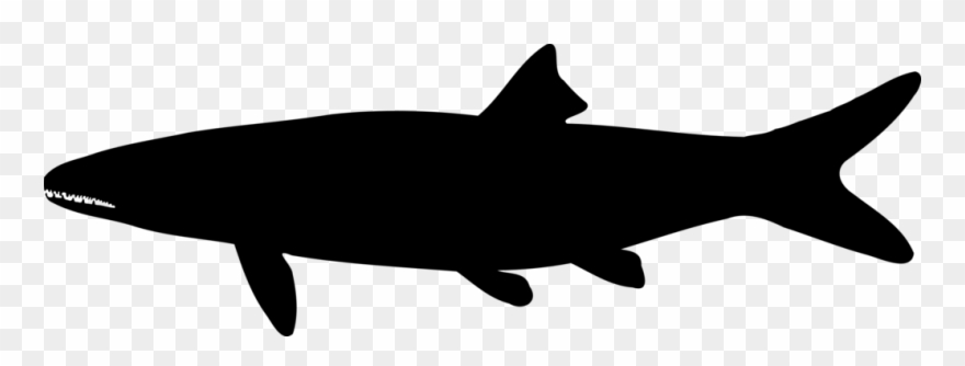 Shark Silhouette Drawing Computer Icons Black - Icon Clipart