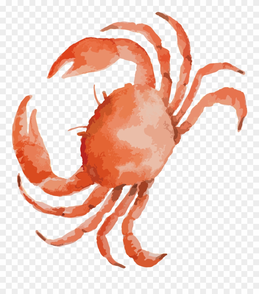 Seafood Drawing Crab Leg Clip Art Black And White Stock - Highland Dunes Bulger Crabs Sea Animals Theme Watercolor - Png Download