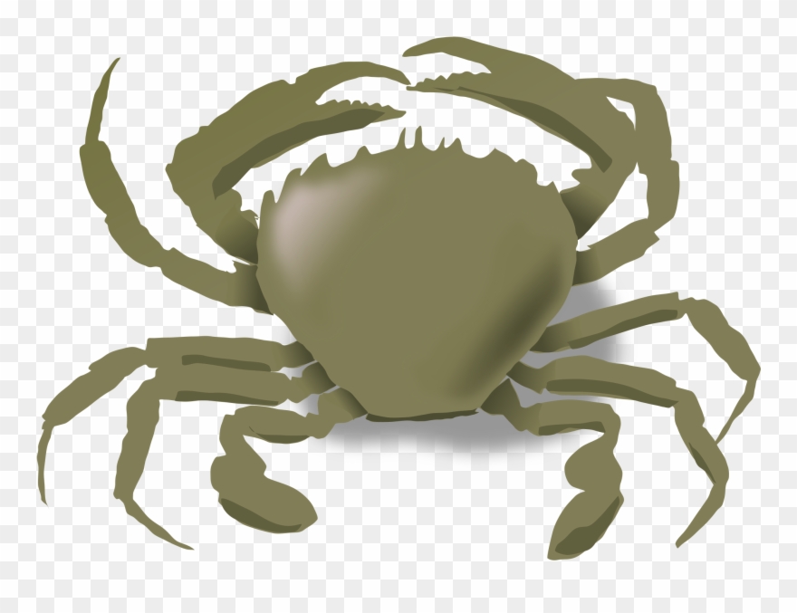 Download Graphic Free Download If You Assemble The - Animals That Live Water And Land Clipart