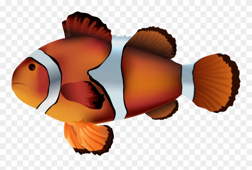 Clownfish Clipart - Png Download