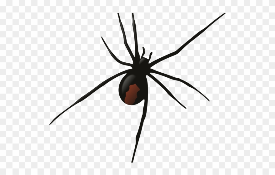 Robots Clipart Spider - Funnel Web Spider Clipart - Png Download
