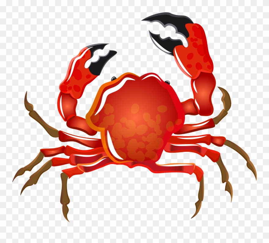 Png Image Gallery Yopriceville Svg Black And White Clipart