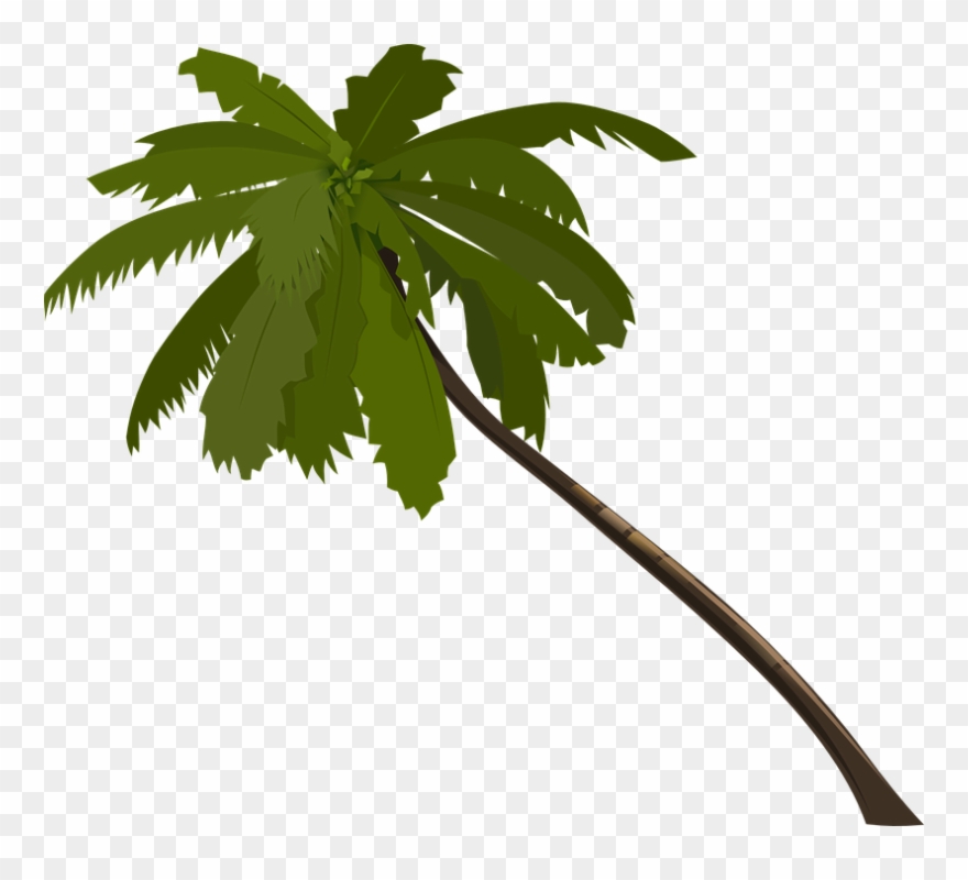 Jungle Trees Clip Art - Png Download