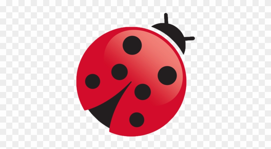 The Red Ladybird Represents Naturalness - News Clipart