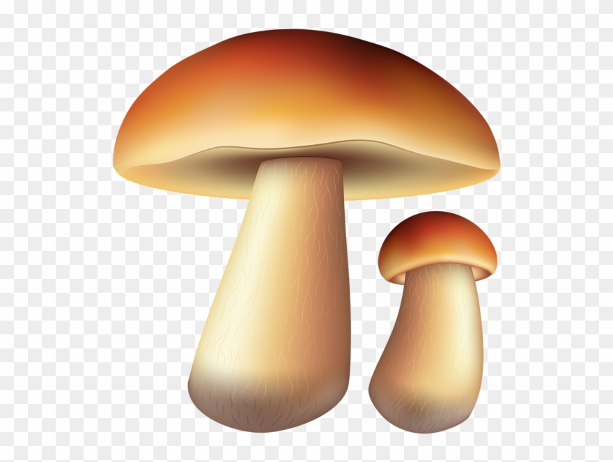 0, - Mushroom Clipart