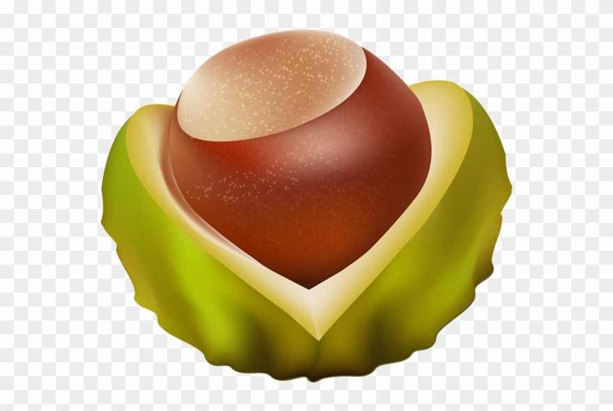 0, - Chestnut Png Clipart