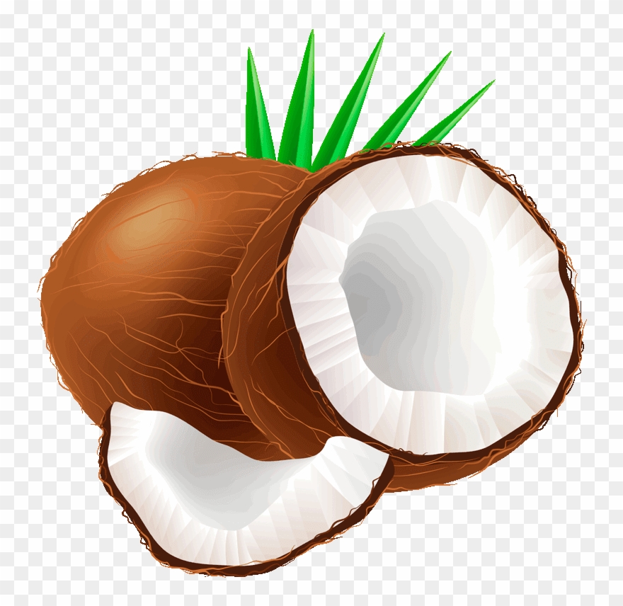 Coconut Clipart - Coconut Fruit Clipart - Png Download