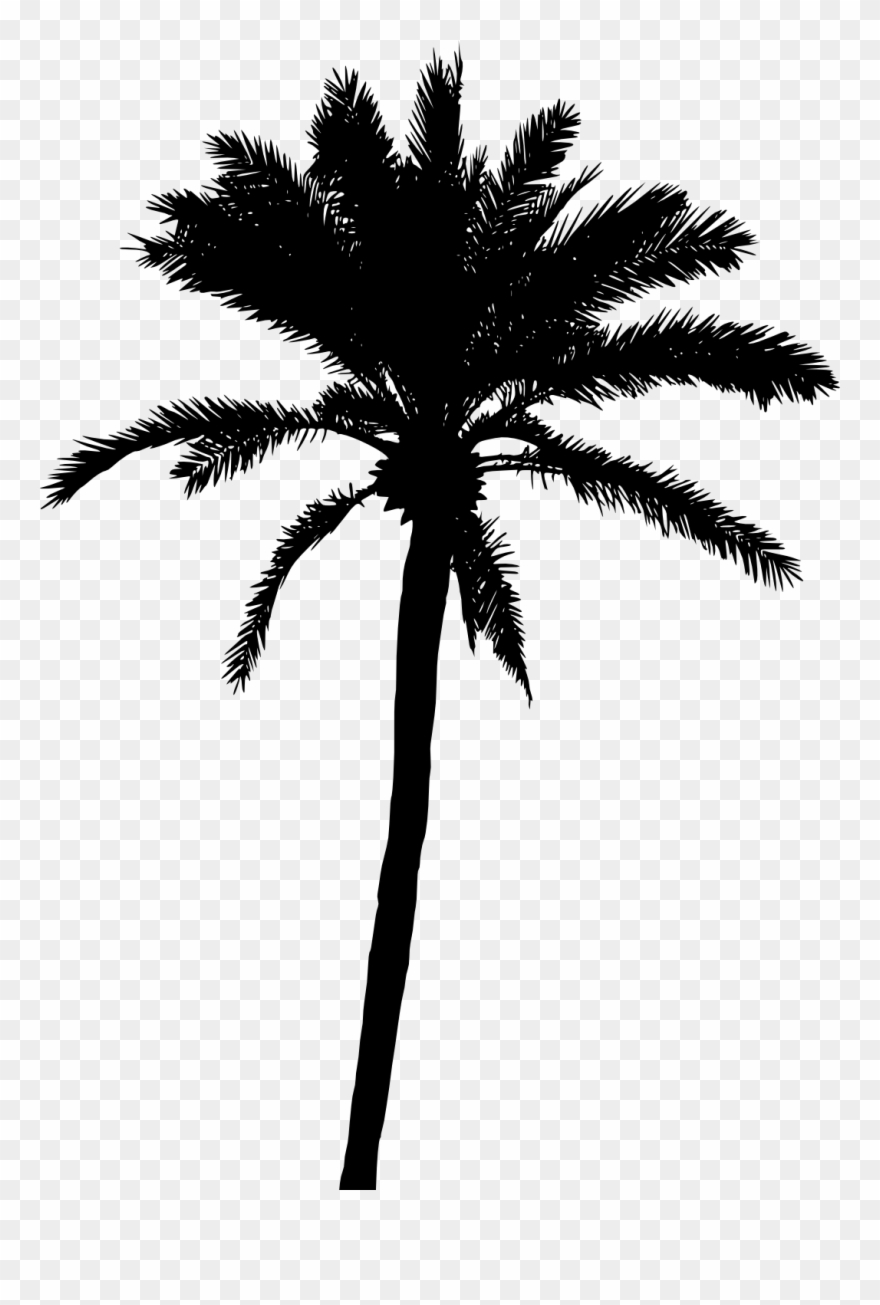 20 Palm Tree Silhouette Vol - Palm Trees Vector Png Clipart
