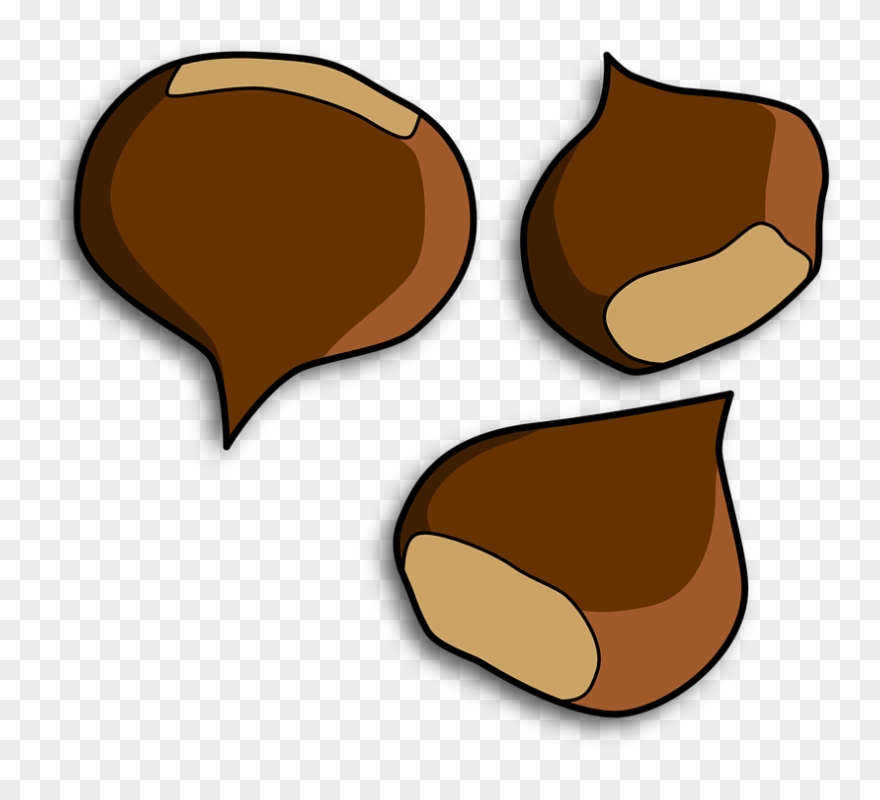 Chestnut Clipart - Png Download