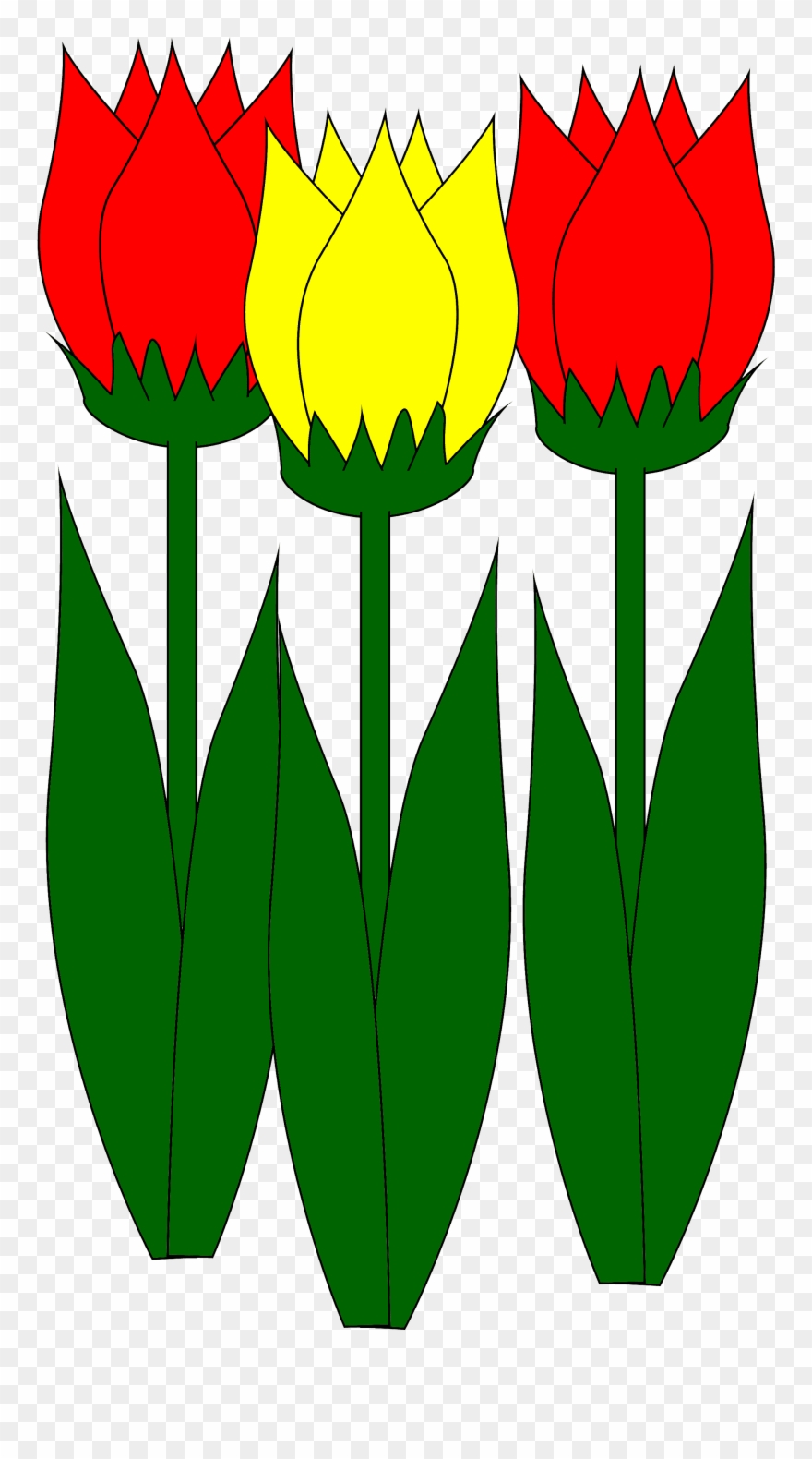 Zum Clipart Tulpe Rot Und Gelb Als Bild Kostenlos - Blume Clipart Png Transparent Png