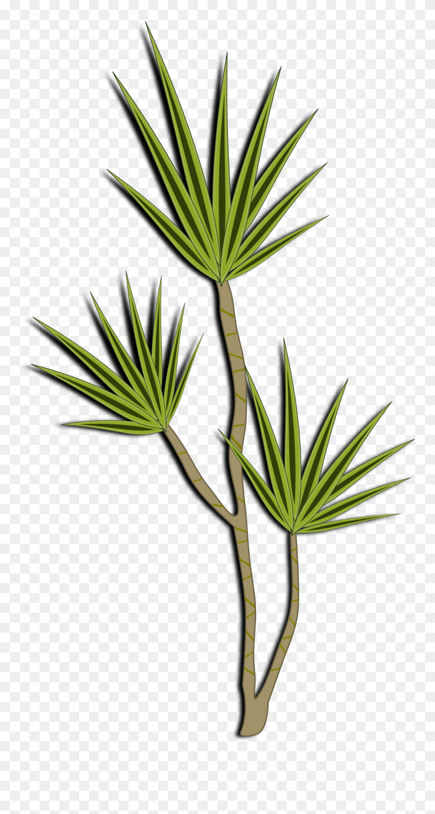 Free - Palm - Desert Shrubs Clipart Png Transparent Png