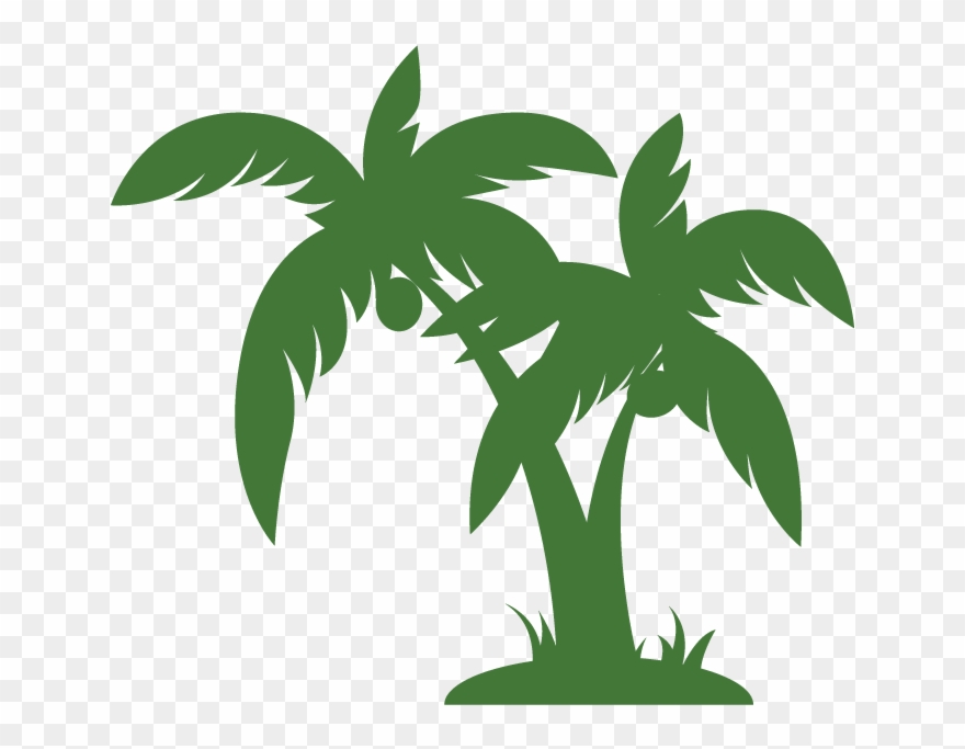 Home - Hanson Palms - Palm Tree Vector Png Clipart