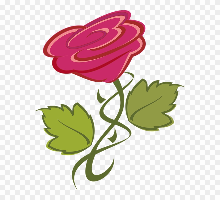 Blumen Bilder Clipart 4 By Amy - Blume Clipart - Png Download