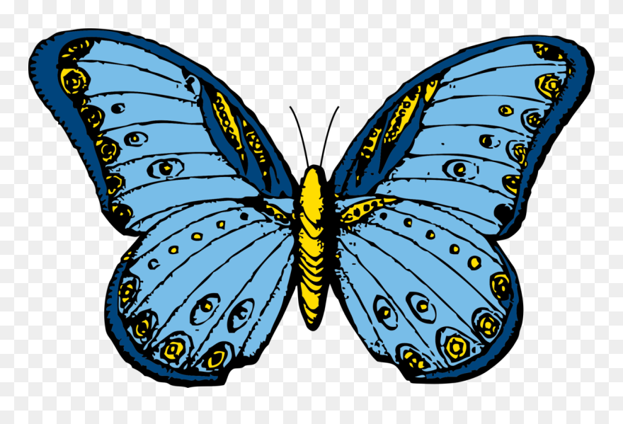 Custom Blue Butterfly Throw Blanket Clipart