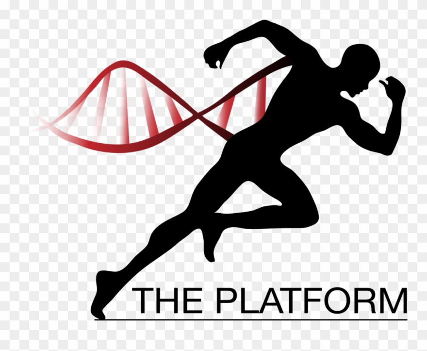 Pe Clipart Healthy Lifestyle Exercise - Illustration - Png Download