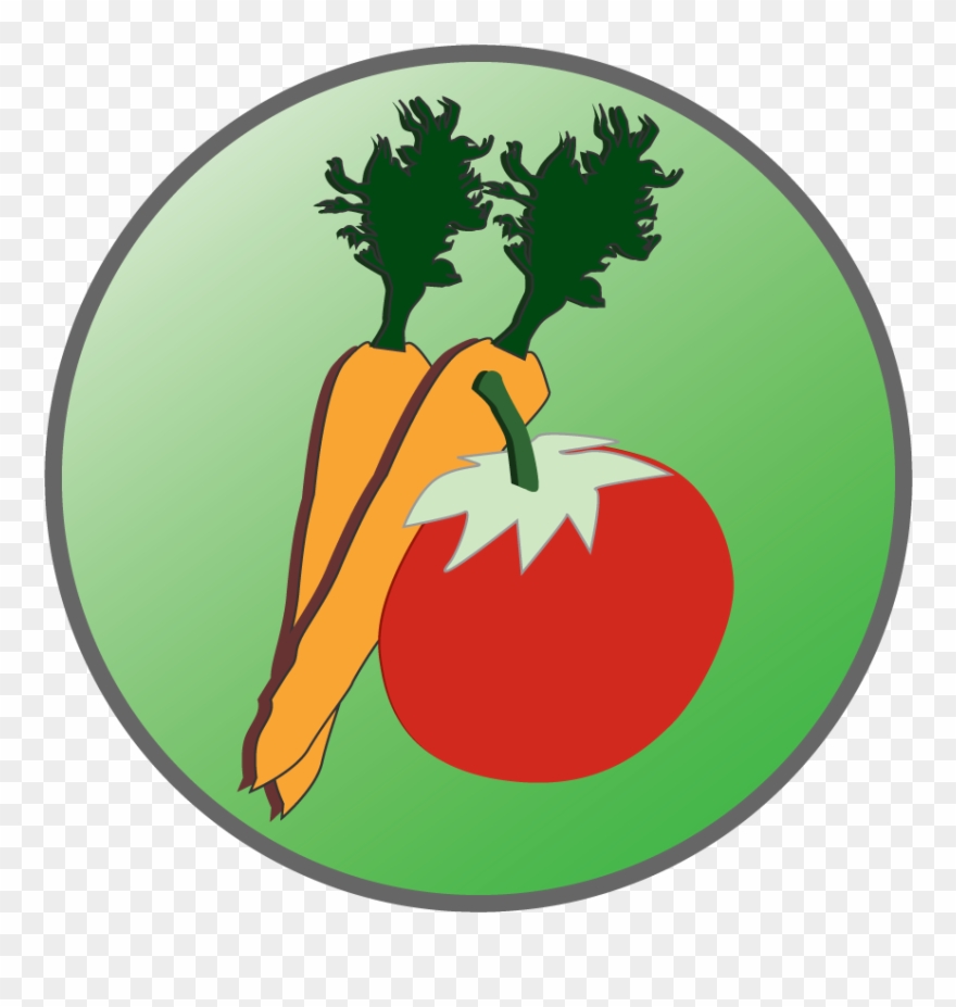 Bridgeport Family Chiropractic, Waterloo, On - Maximized Living 5 Essentials Clipart