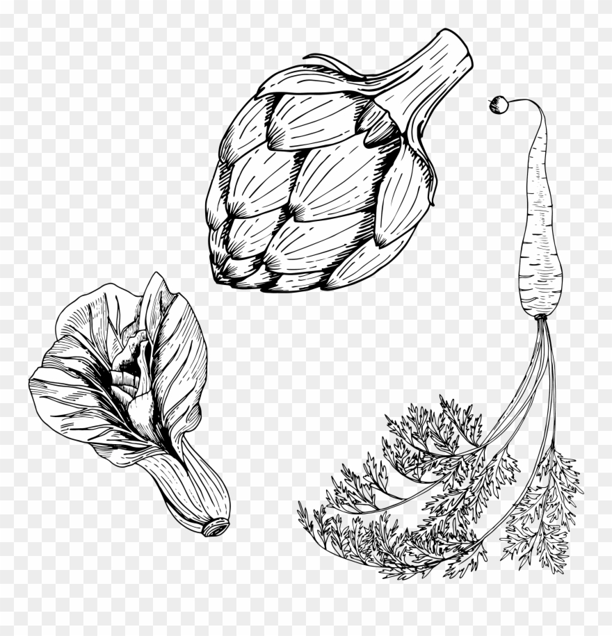 Carrot Vegetable Line Transprent Clip Art Black And - Food Planner: Meal Planner [book] - Png Download