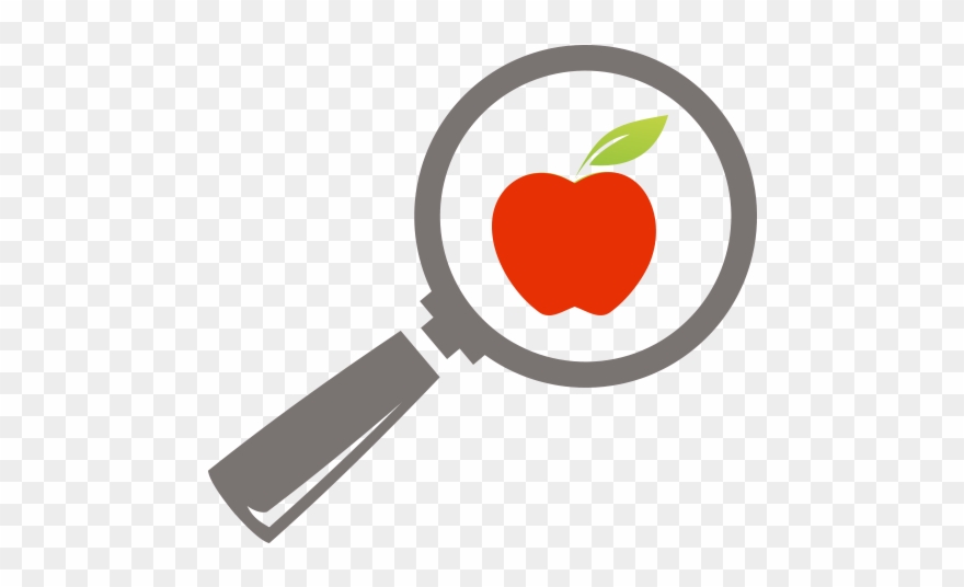 Healthy Food Clipart Wellness - Magnifying Glass - Png Download