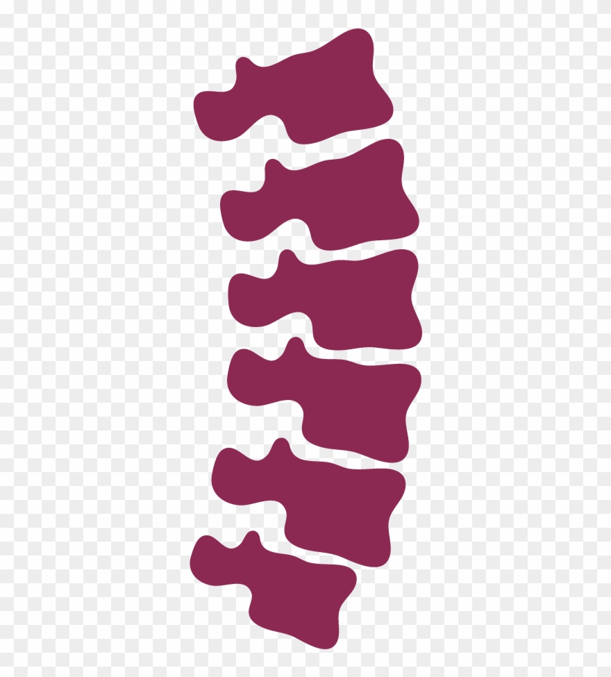 Chiropractic - Spine Icon Clipart